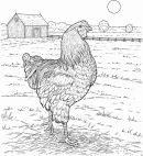 Op de boerderij kleurplaat 1
